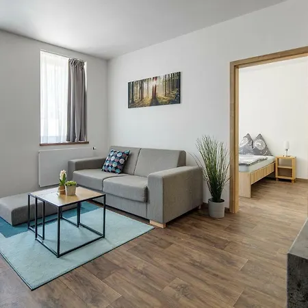 Anicka 4* Železná Ruda