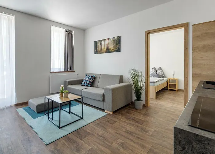 Anicka 4* Železná Ruda
